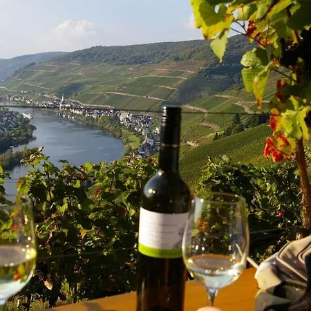 Ferienhaus Luxury Anni Merl